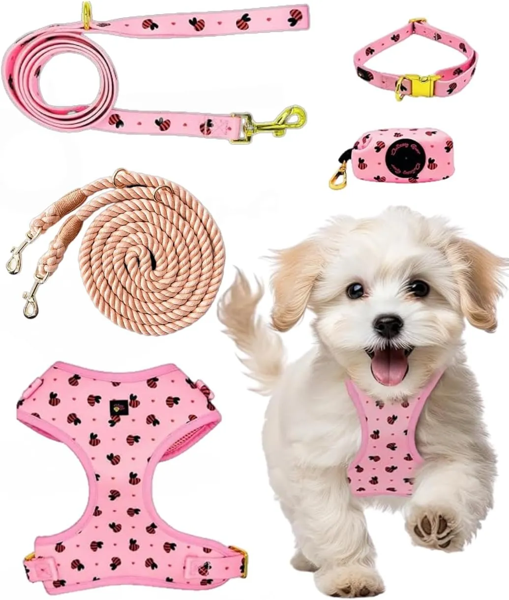 Premium No-Pull Dog Harness 5-Piece Set with Matching Hands Free Rope Leash, Collar, Leash & Poop Bag Dispenser (Medium, 16.5-24 Lbs, Pink)