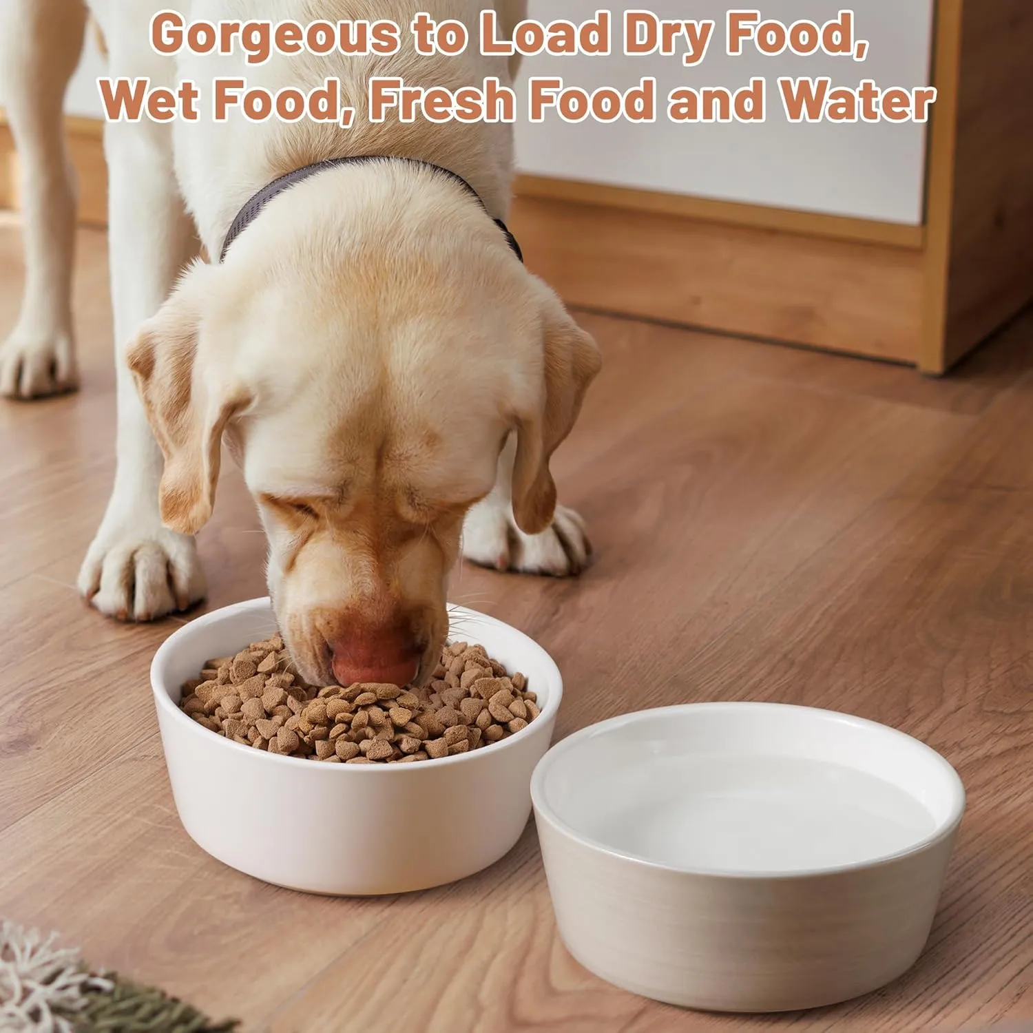Puppy Dog Bowls, Non Slip Heavy Ceramic Dog Food and Water Bowl with Silicone Base, Pet Feeding Bowl for Small and Medium Dogs (Light Grey-2 Pack, 6 Inches)
