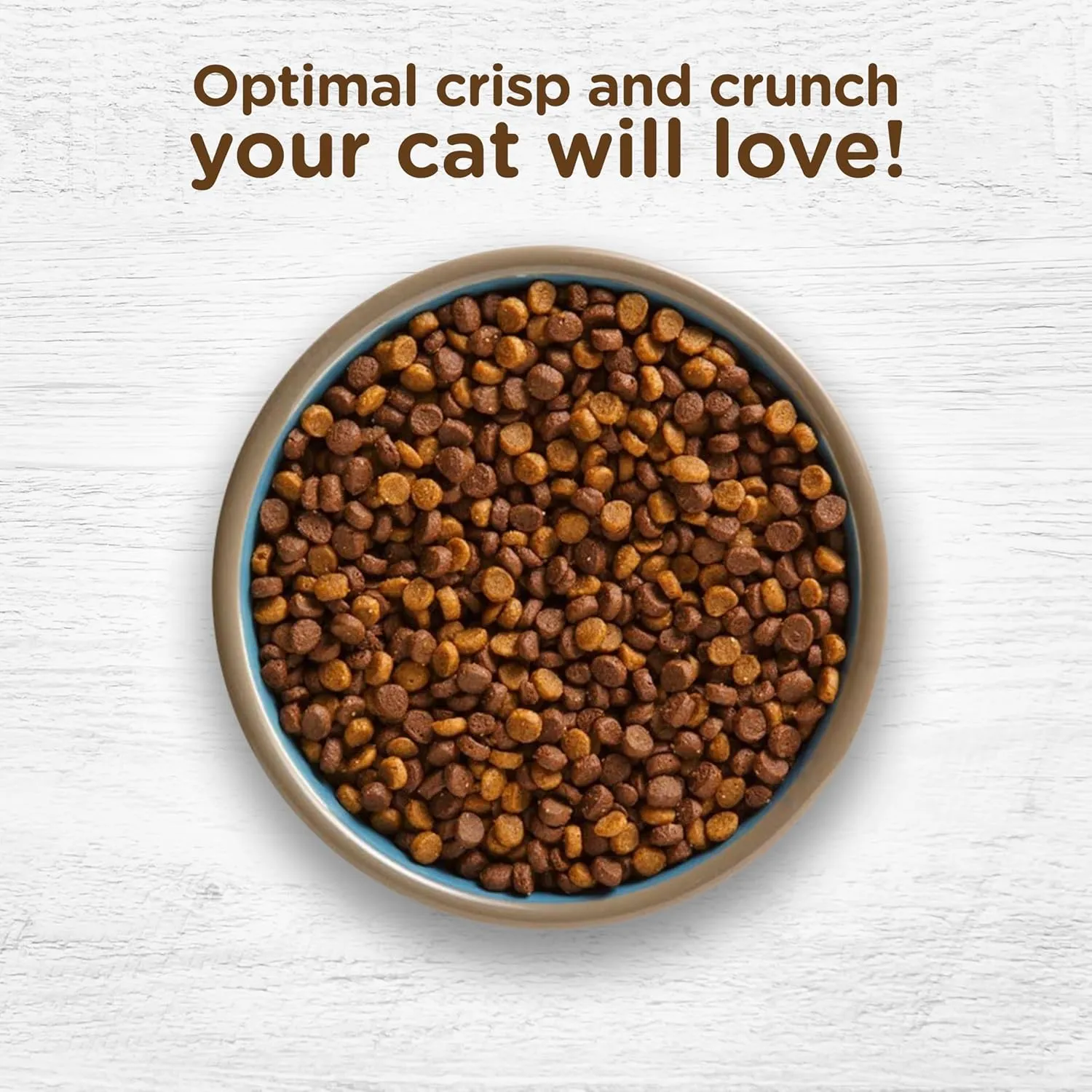 Rachael Ray Nutrish Indoor Complete Premium Natural Dry Cat Food, Chicken with Lentils & Salmon Recipe, 6 Pounds (Packaging May Vary)