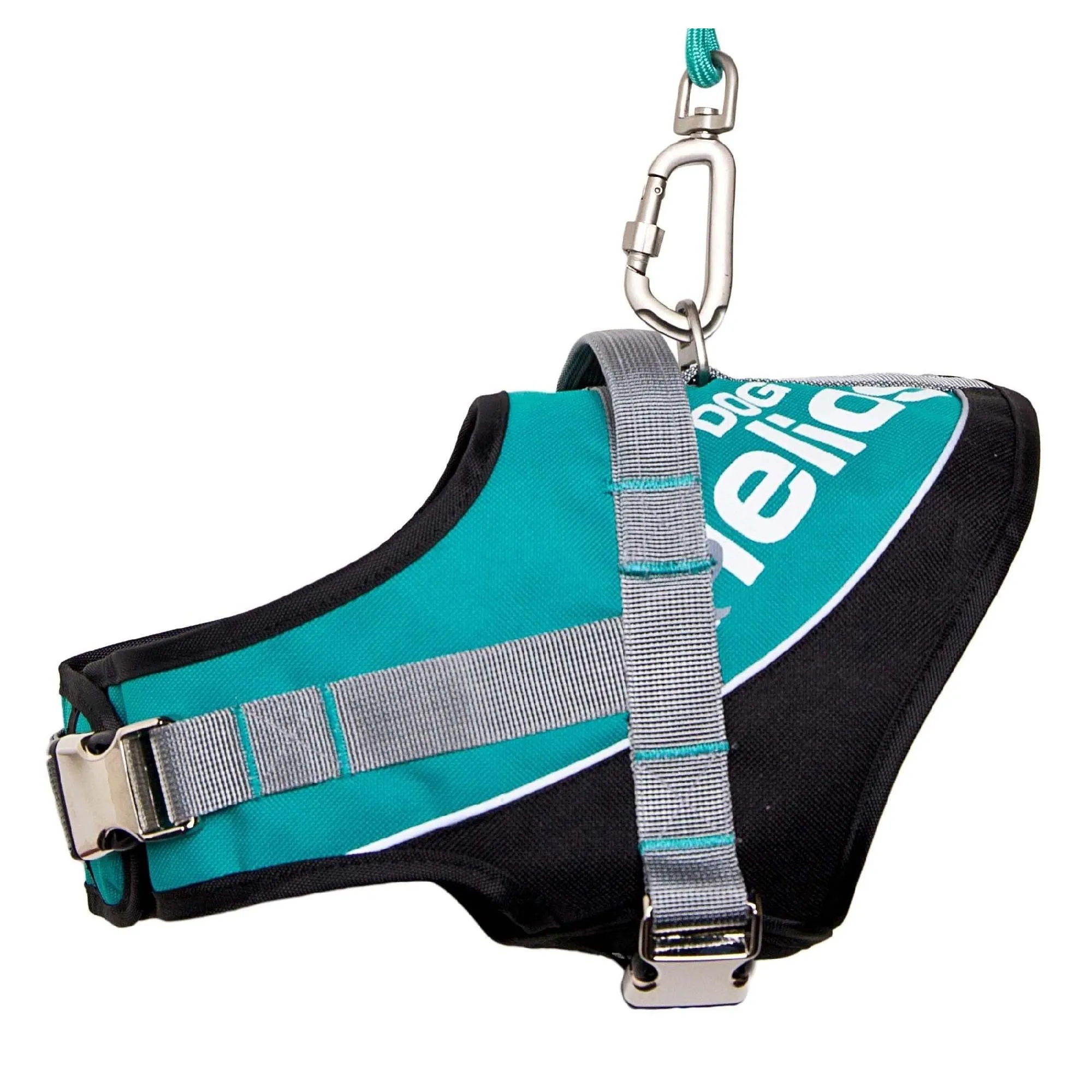 Reflective Endurance Dog Leash and Harness Straps