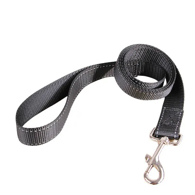 Retractable Leash