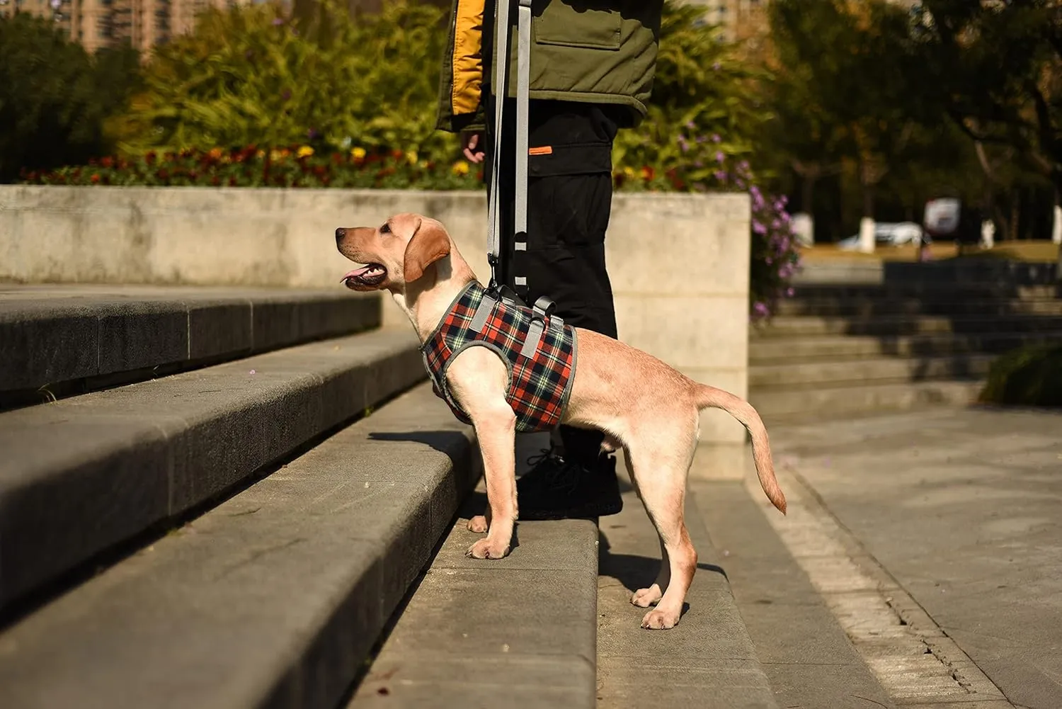 ROZKITCH Dog Lift Harness, Grid Pet Chest Support Aid Veterinarian Approved Sling for Old K9 Help With Poor Stability, Front Legs Disabled Joint Injury Elderly Arthritis ACL Rehabilitation Rehab