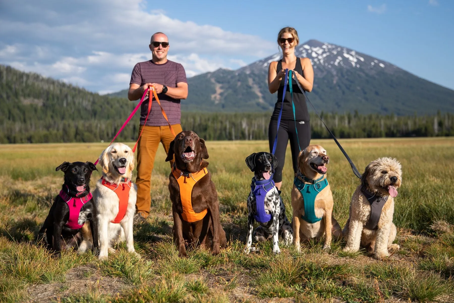 Ruffwear Front Range® Dog Harness in Hibiscus Pink