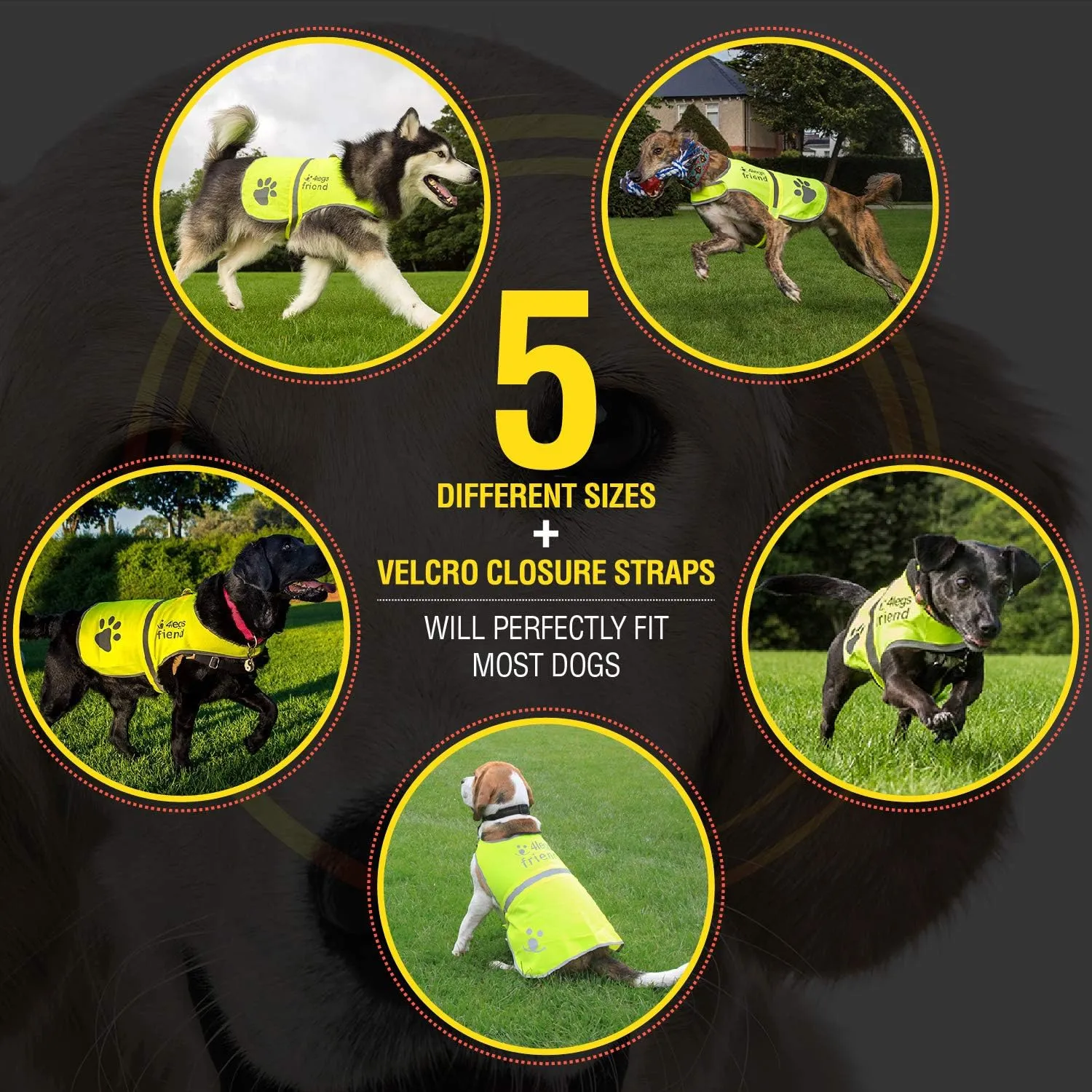 Safety Reflective Vest for Dogs - High Visibility for Outdoor Activity Day and Night, Protect Your Pet from Cars & Hunting Accidents