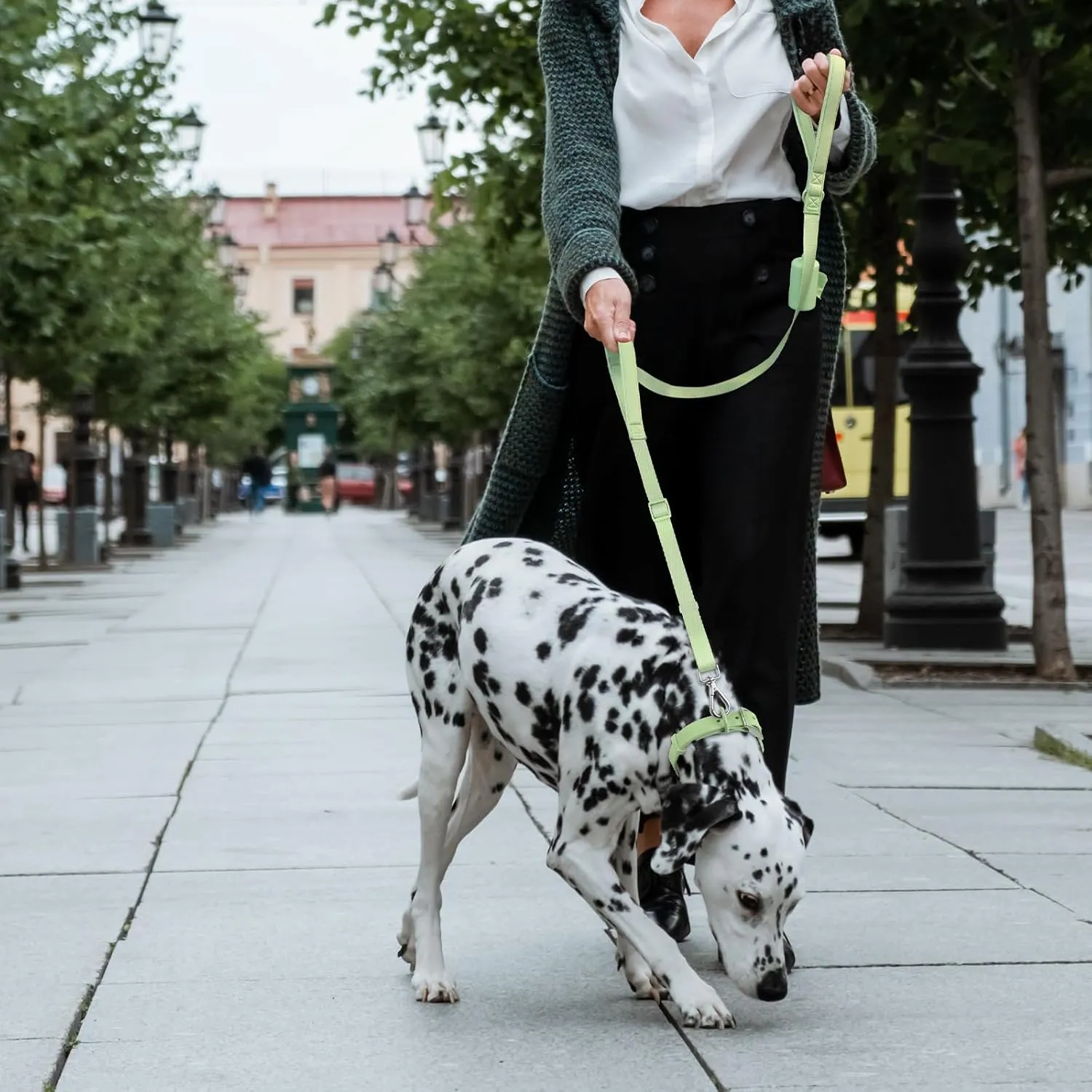 Wisedog Durable Two Handle Dog Leash: Dog Leash Heavy Duty with Dual Soft Padded Handles, Adjustable Length as Short Leash for Medium Large Dogs (Sage Green, L|5.2 ft-6 ft)