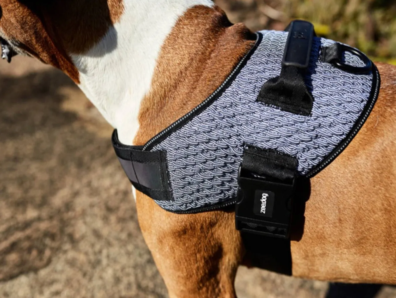 Zee.Dog Urban Fly Harness